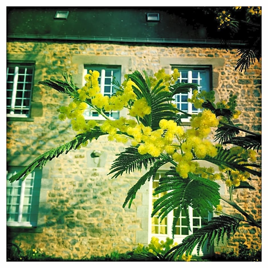 Manoir de la Grand'Cour