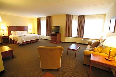 1 King Bed Studio Suite Lakeview Nonsmoking