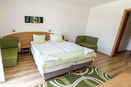 Deluxe Double or Twin Room