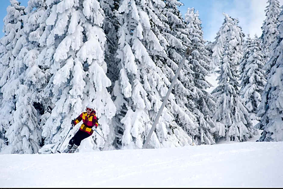 VVF Les Monts Jura