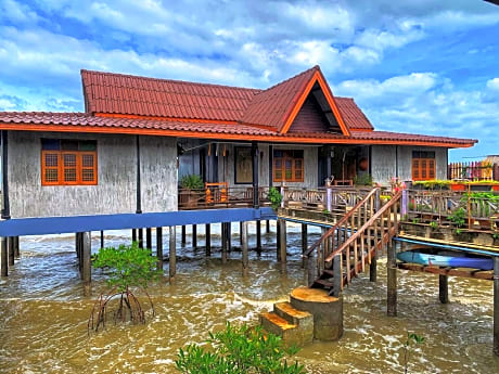 The mangrove old town