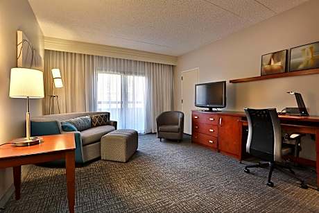 Suite, 1 Bedroom (1 King Bed and 1 Double Sofa Bed)