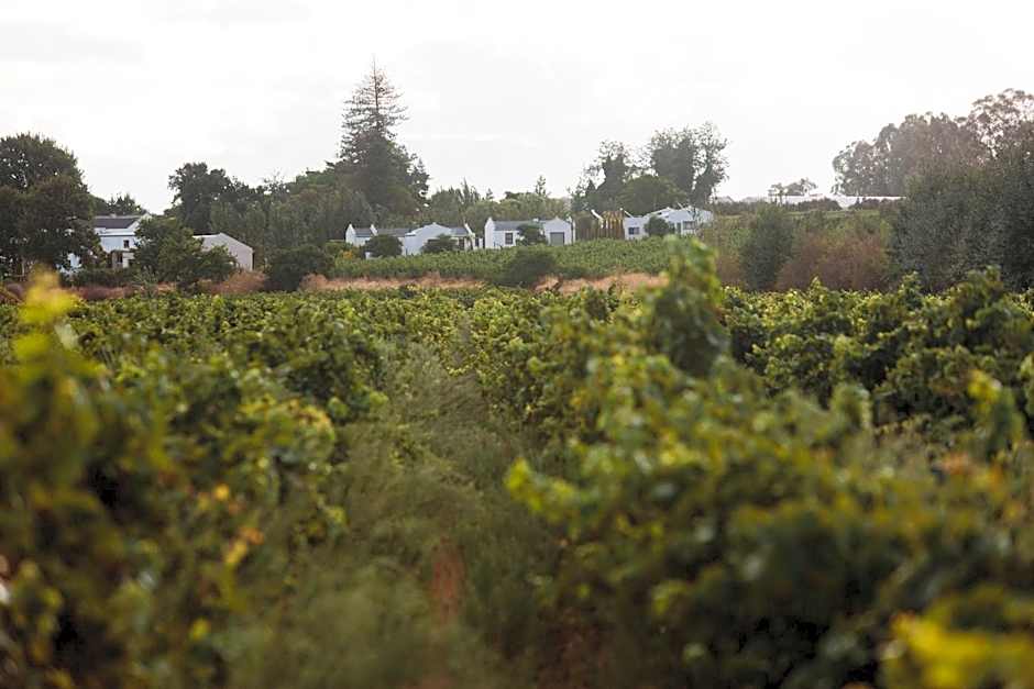 Leipzig Country House & Winery