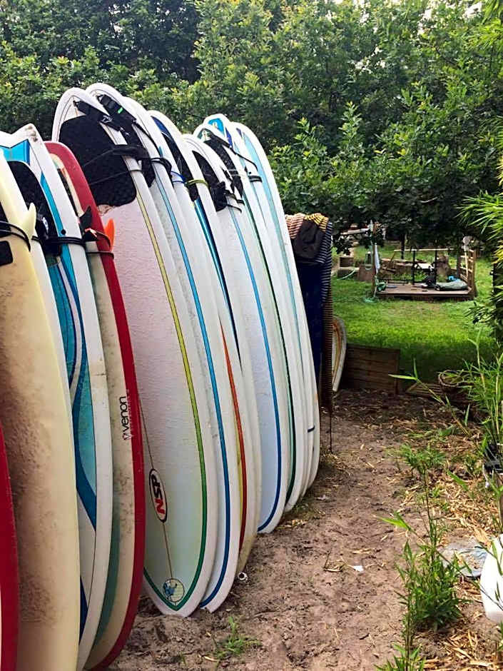 Shifting Sands Surf Camp