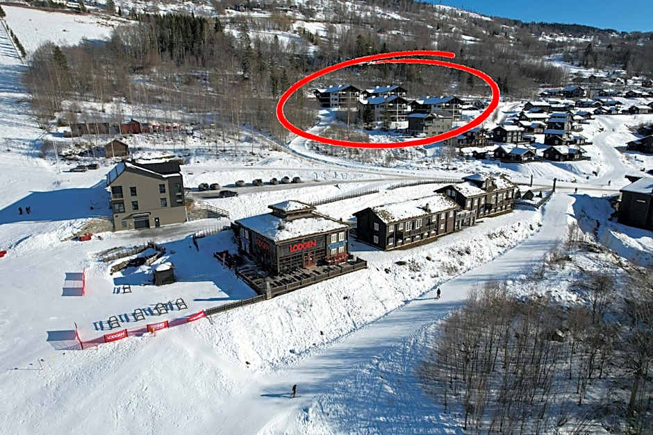 Alpin Apartments Sørlia