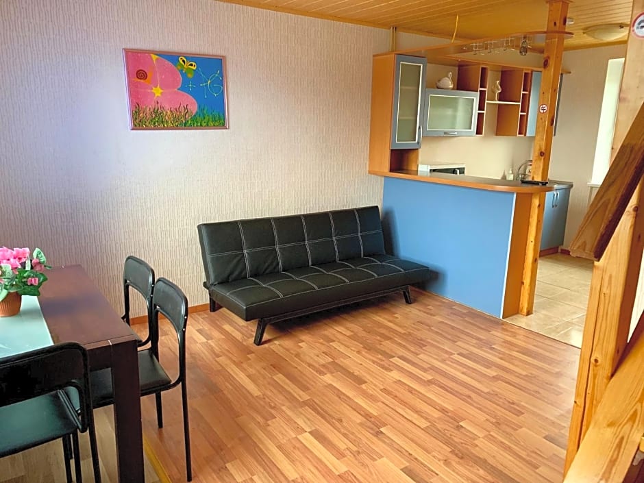 Airovita kambariai nakvynei