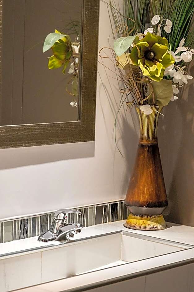 Hotel Et Motel Le Chateauguay