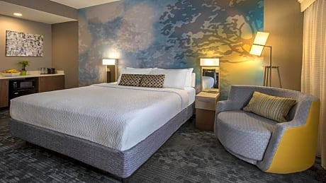 Executive King Suite