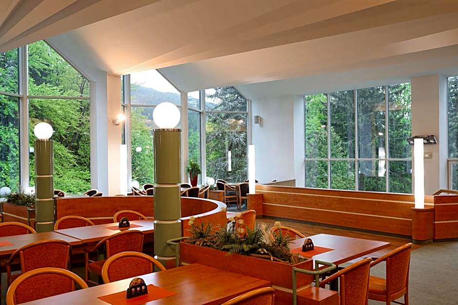 Interhotel Montana