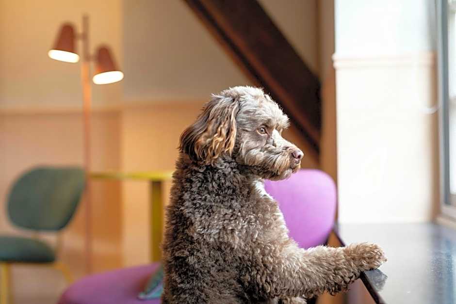 The Rebyl, Nijmegen, a Tribute Portfolio Hotel