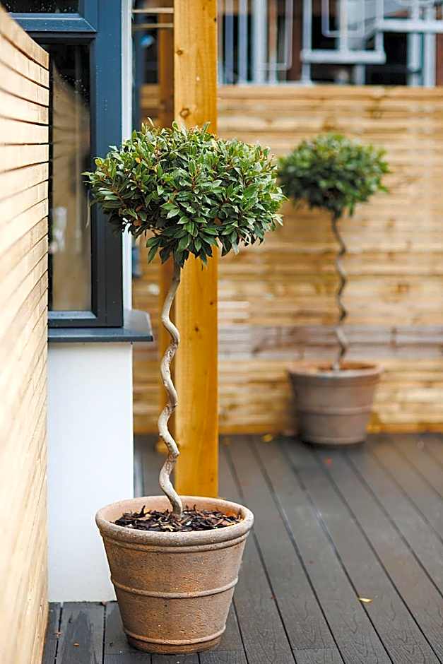 The Dukeries Lodge, Edwinstowe, Nottinghamshire