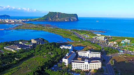 Playce Camp Jeju