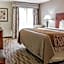Comfort Inn & Suites University South