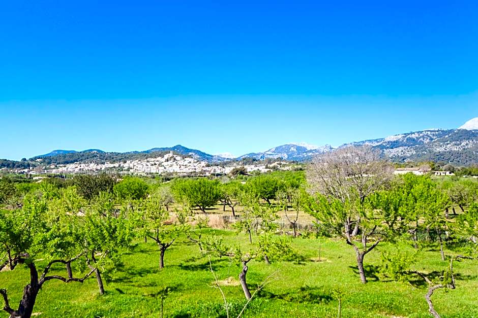 Ses Planes -Ca Na Faustina-