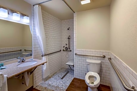 King Room - Disability Access Roll in Shower