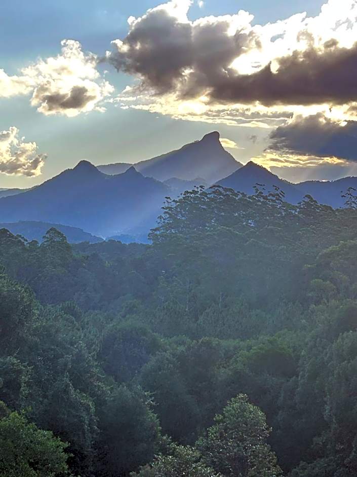 Ecoasis Mami Wata Rainforest Haven