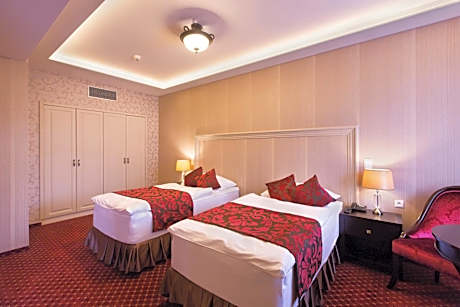 Double or Twin Room for Single Use
