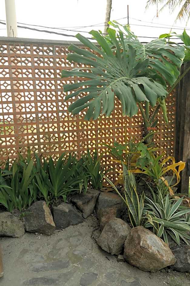 Cabana Surf and Stay