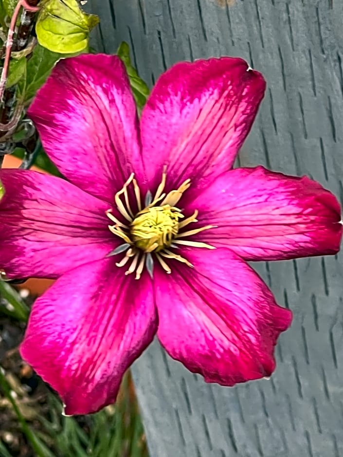 Prelude Guesthouse, Brigsley Grimsby