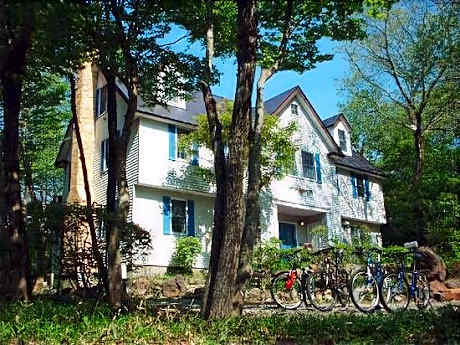 Cozy Inn Antique