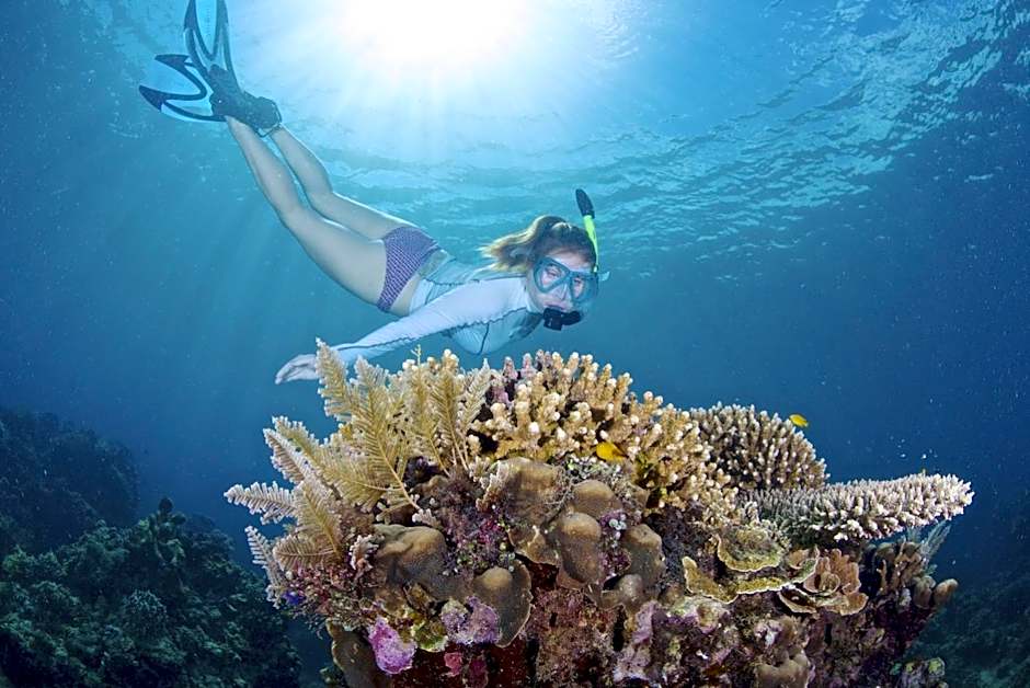 Kookoo's nest eco-lodge