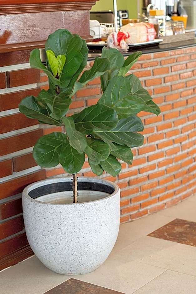 Khon Kaen Orchid Hotel