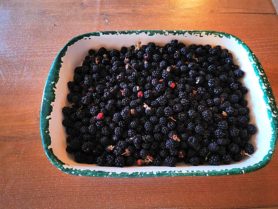 Masseria Le Querciole