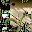 Khaban Bacalar Hotel Boutique