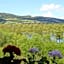 Pension Waldhof am Stubenbergsee