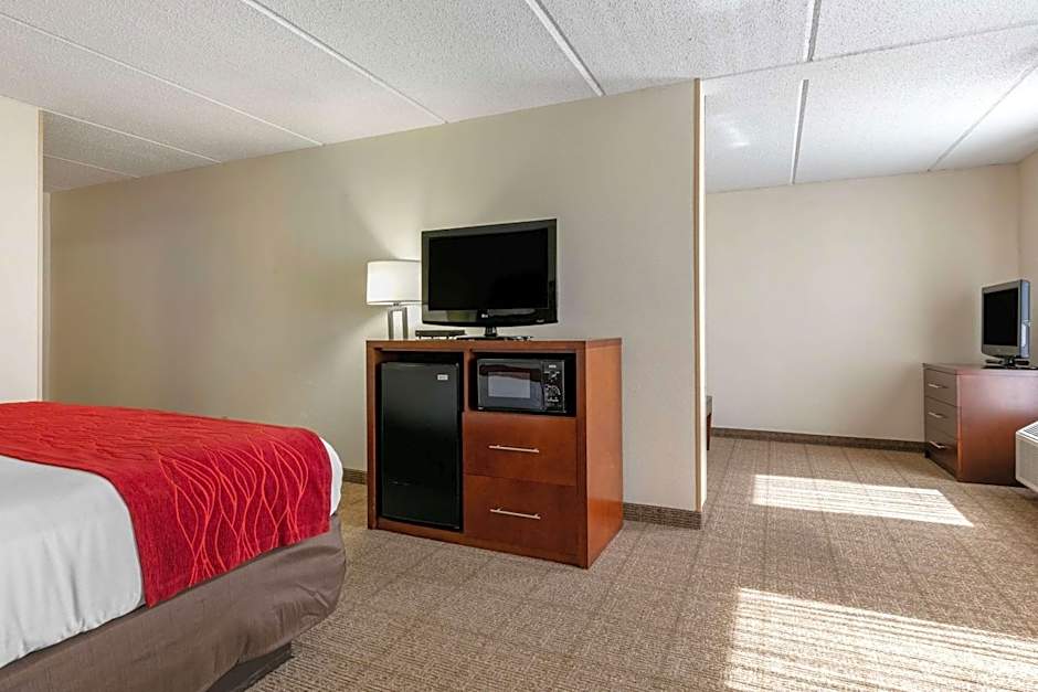 Comfort Inn Downtown Lookout Mountain Chattanooga