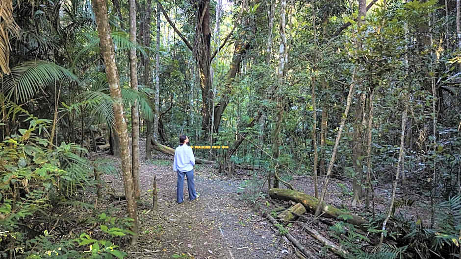 Chambers Wildlife Rainforest Lodges