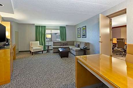 1 Bedroom Deluxe Suite, 1 King