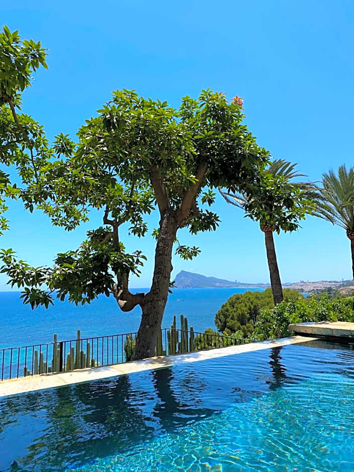 El jardin Botánico Villa LUZ