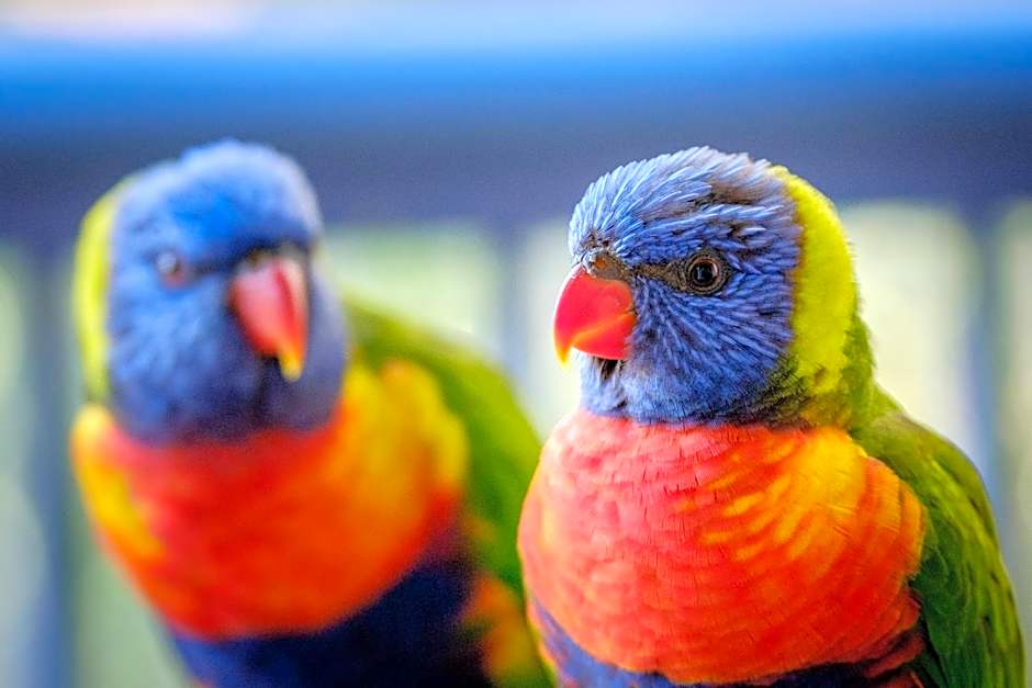 Sanctuary Lake Apartments