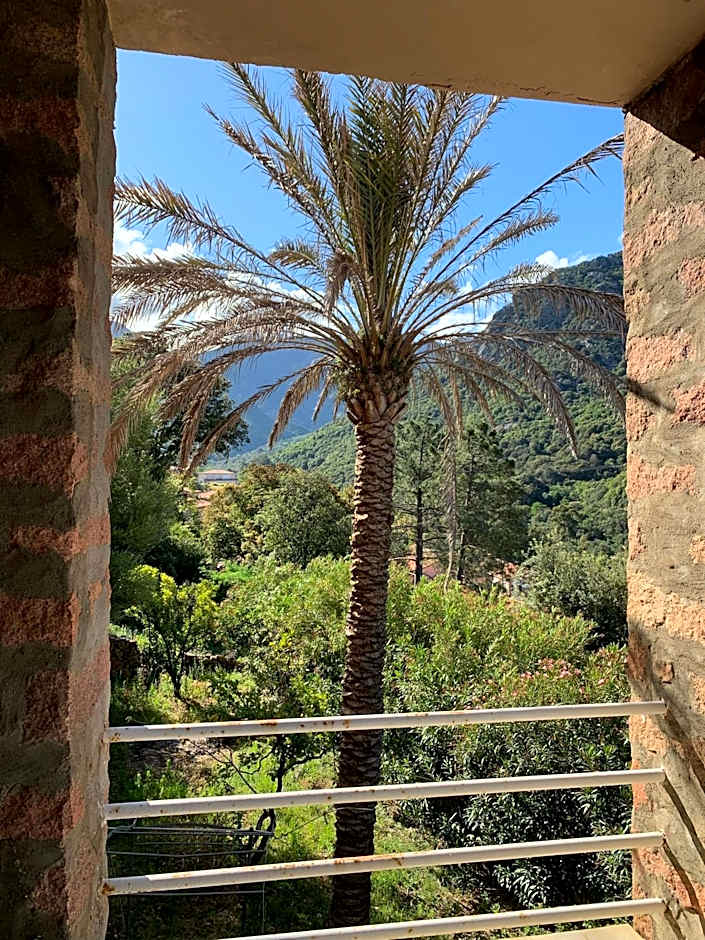 Hôtel Colombo- Porto Corse