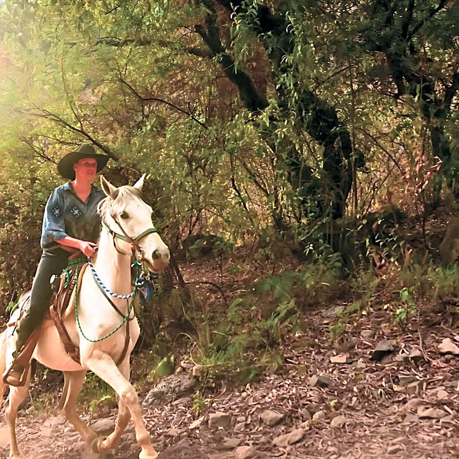 Rancho con Caballos El Reencuentro