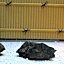 UU Inn Kyoto