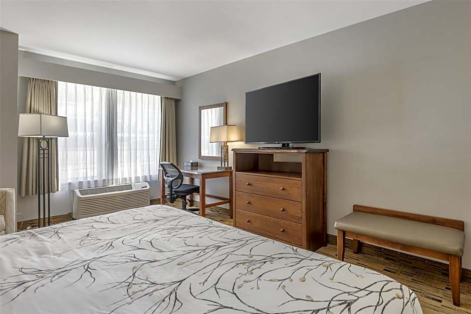 Photo 1 of 8 of 1 King Bed, Hearing/Mobility Accessible, Roll in Shower