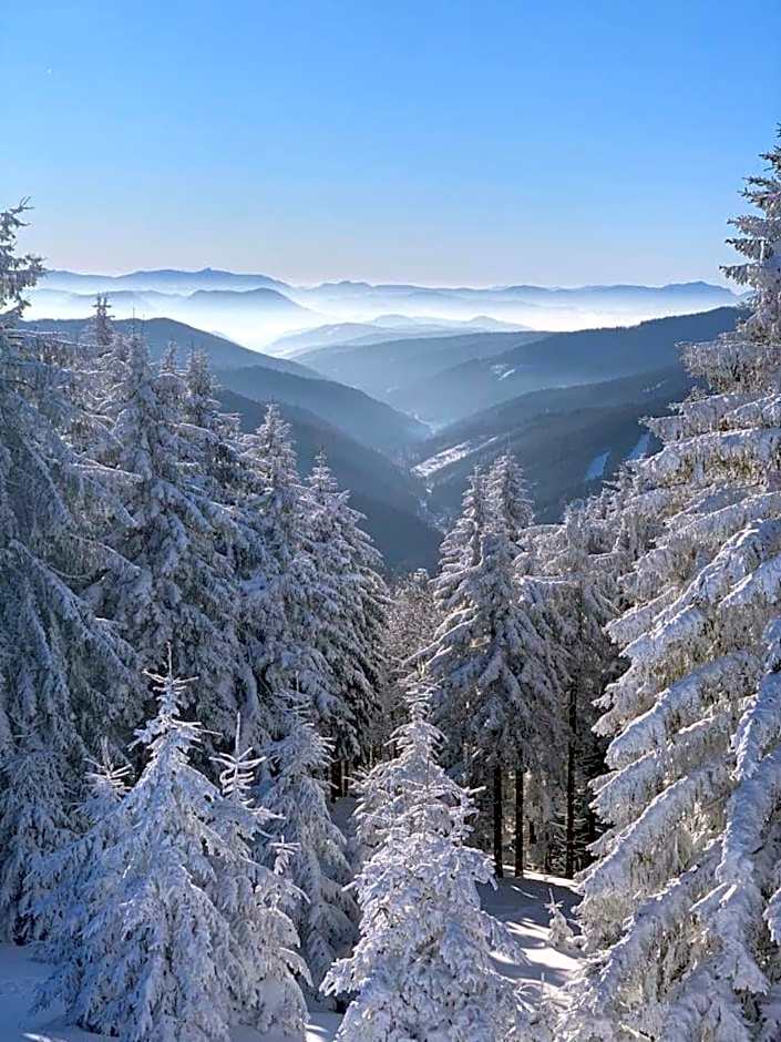 Horský Hotel Podjavorník