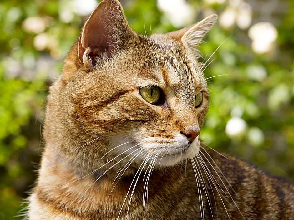 B&B Alphabet - Luxury Guesthouse and Art Gallery