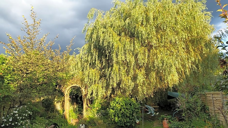 Rowlands Castle No 41