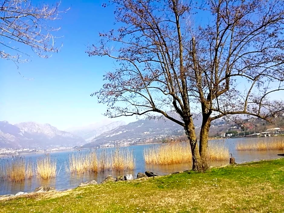 La Poesia del Lago