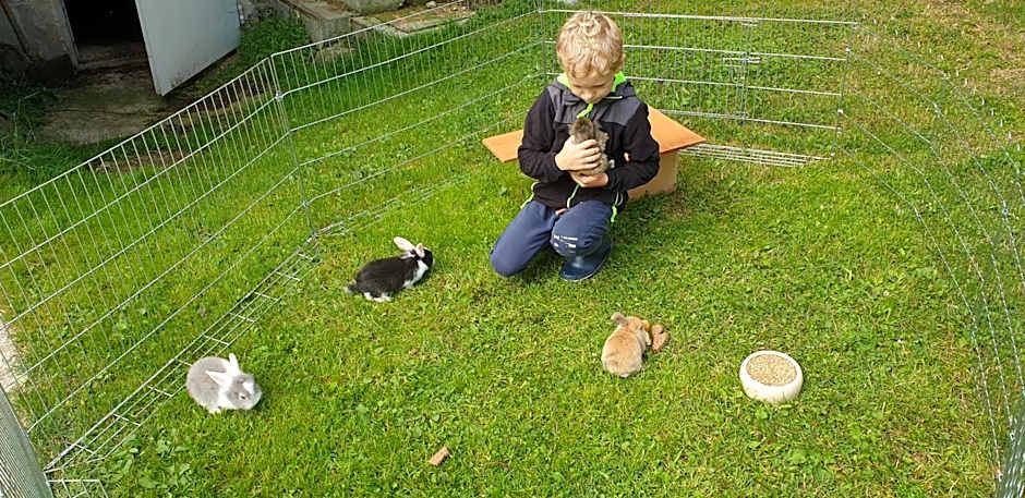 Biohof Obereibensteiner