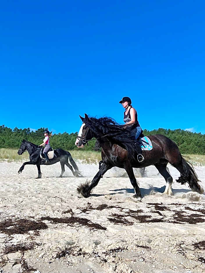 Friesenhof Hotel-Restaurant-Reitanlage