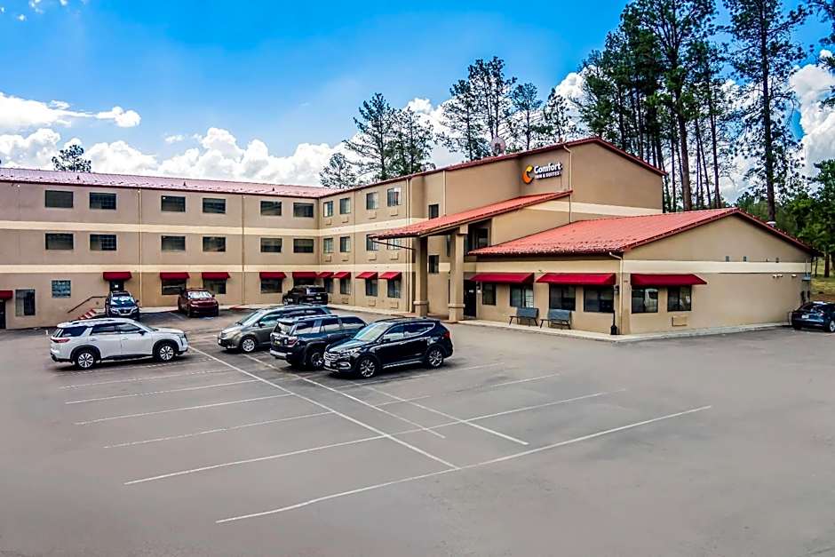 Comfort Inn & Suites Midtown