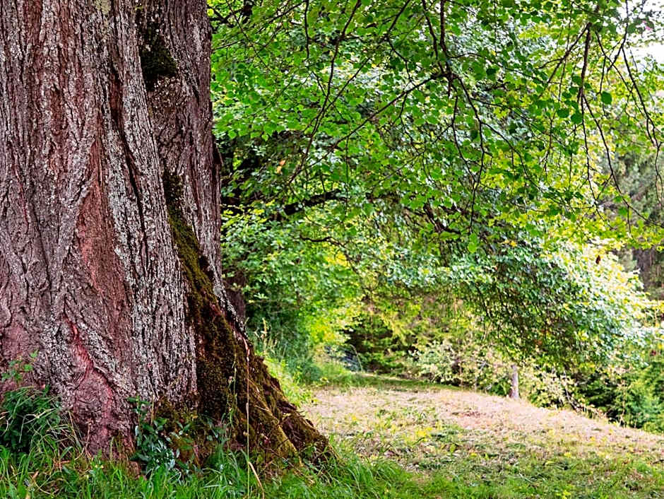 LANDSITZ OBERHOF petit hôtel