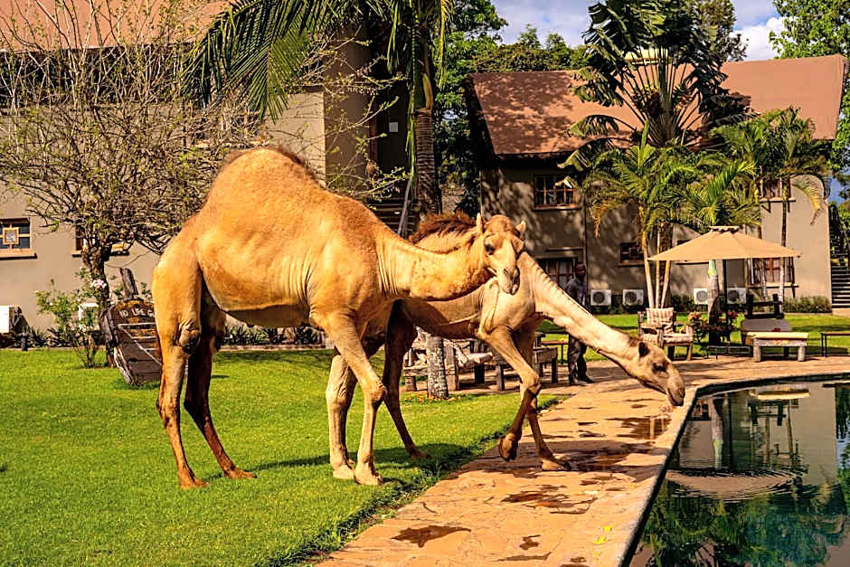 Weru Weru River Lodge
