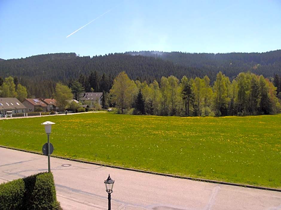 Hotel Rheingold Garni