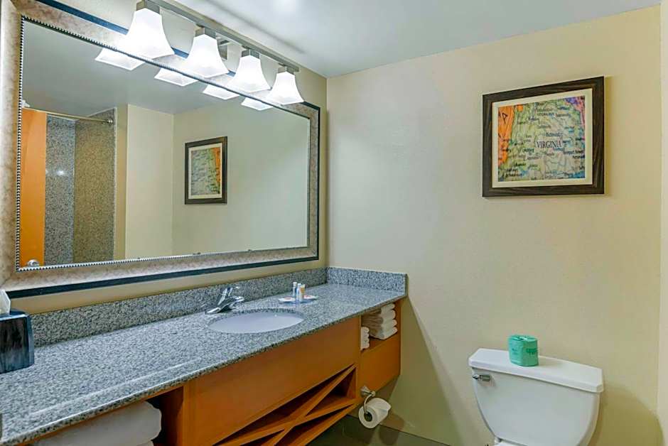 Comfort Suites At Virginia Center Commons