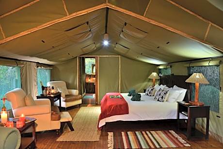 Tent - Forest Camp